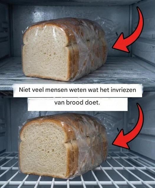 Praktische handleiding voor het correct invriezen van brood