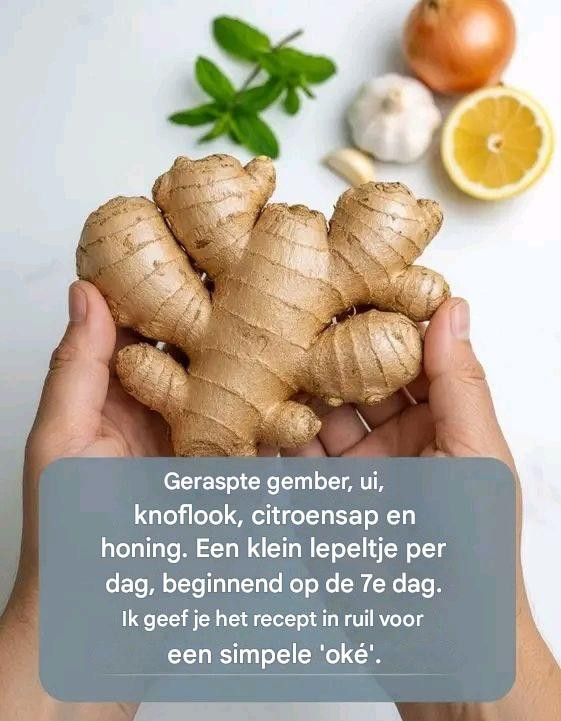 Een mengsel van gember, knoflook, ui en citroen: reinigt je lichaam en longen.