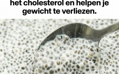 Kleine zaadjes, enorme krachten: Het mysterie van chiazaad ontrafeld en waarom bijna iedereen ze verkeerd gebruikt