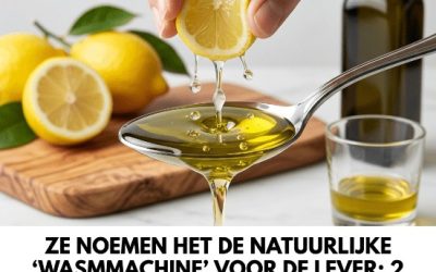 Ze noemen het een natuurlijke “wasmachine” voor de lever: 2 eetlepels van dit drankje per dag, en de lever werkt als die van een twintigjarige en het cholesterolgehalte blijft normaal!
