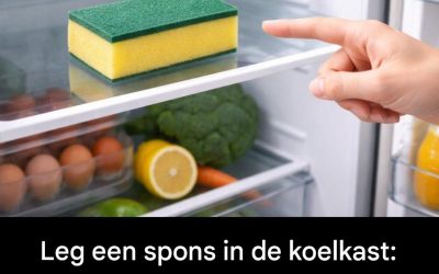 Als ik lui ben, maak ik altijd dit dessert – “Napoleon in een glas”