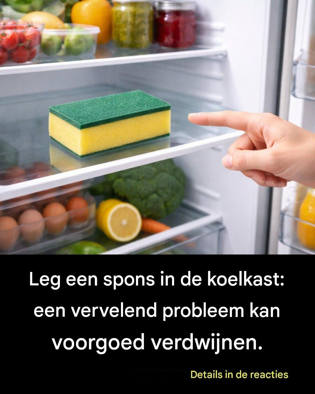 Leg een spons in de koelkast: een vervelend probleem kan voorgoed verdwijnen.