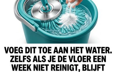 Optimaliseer het onderhoud van uw vloer met deze innovatieve methode.