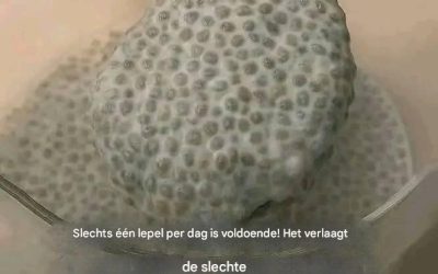 Slechts één lepel per dag is voldoende! Het verlaagt het slechte cholesterol, reinigt de slagaders, reguleert de bloedsuikerspiegel en onderdrukt zelfs de honger.