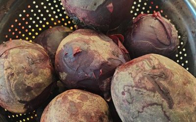 Artsen onthullen dat het eten van bieten de oorzaak is van…