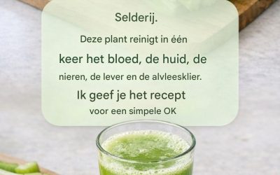 Deze plant reinigt in één keer het bloed, de huid, de nieren, de lever en de alvleesklier. Maar doe het op deze manier…