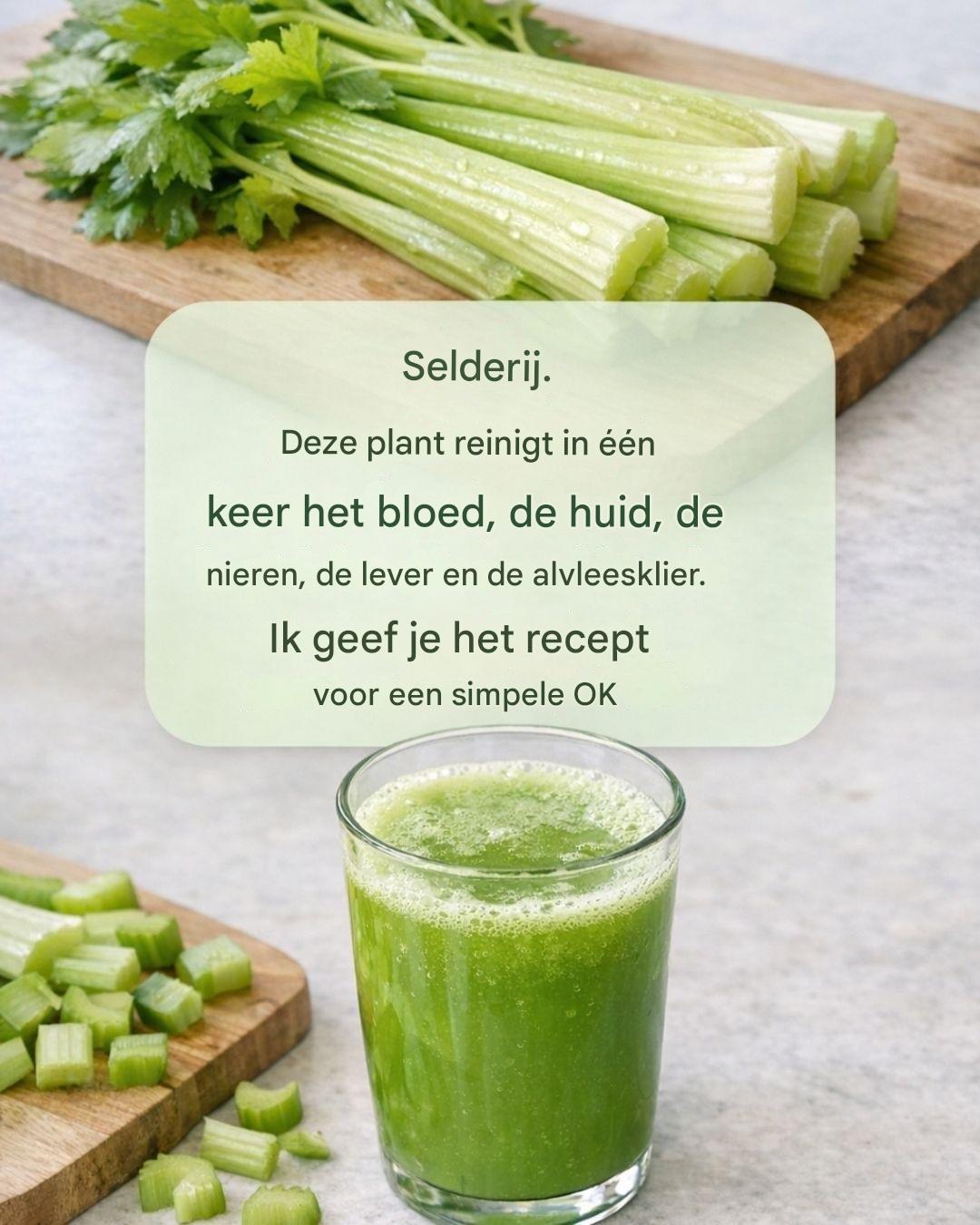 Deze plant reinigt in één keer het bloed, de huid, de nieren, de lever en de alvleesklier. Maar doe het op deze manier…