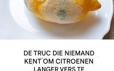 Hoe bewaar je citroenen om ze langer vers te houden en schimmelvorming te voorkomen?