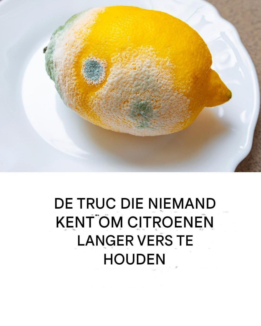 Hoe bewaar je citroenen om ze langer vers te houden en schimmelvorming te voorkomen?