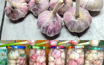 Chef koks zweren erbij met deze truc blijft je knoflook een jaar lang vers