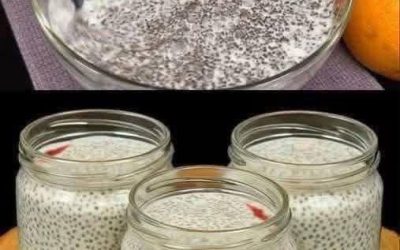 Romige chia pudding (gezond dessert, zonder koken)