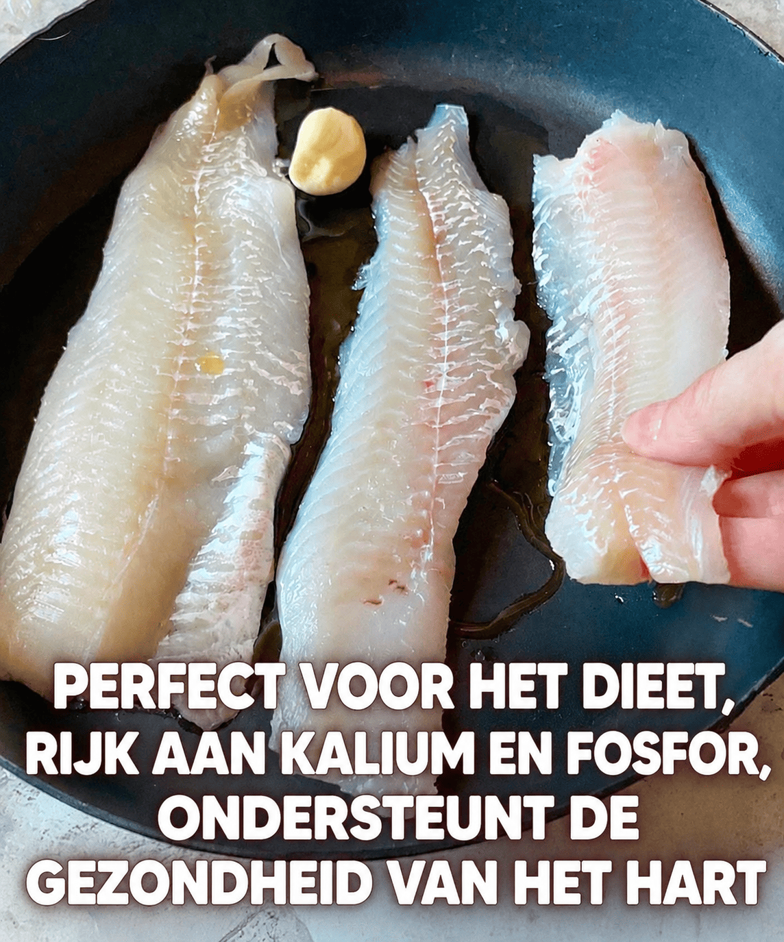 De perfecte vis voor alle leeftijden: rijk aan voordelen en voedingsstoffen.