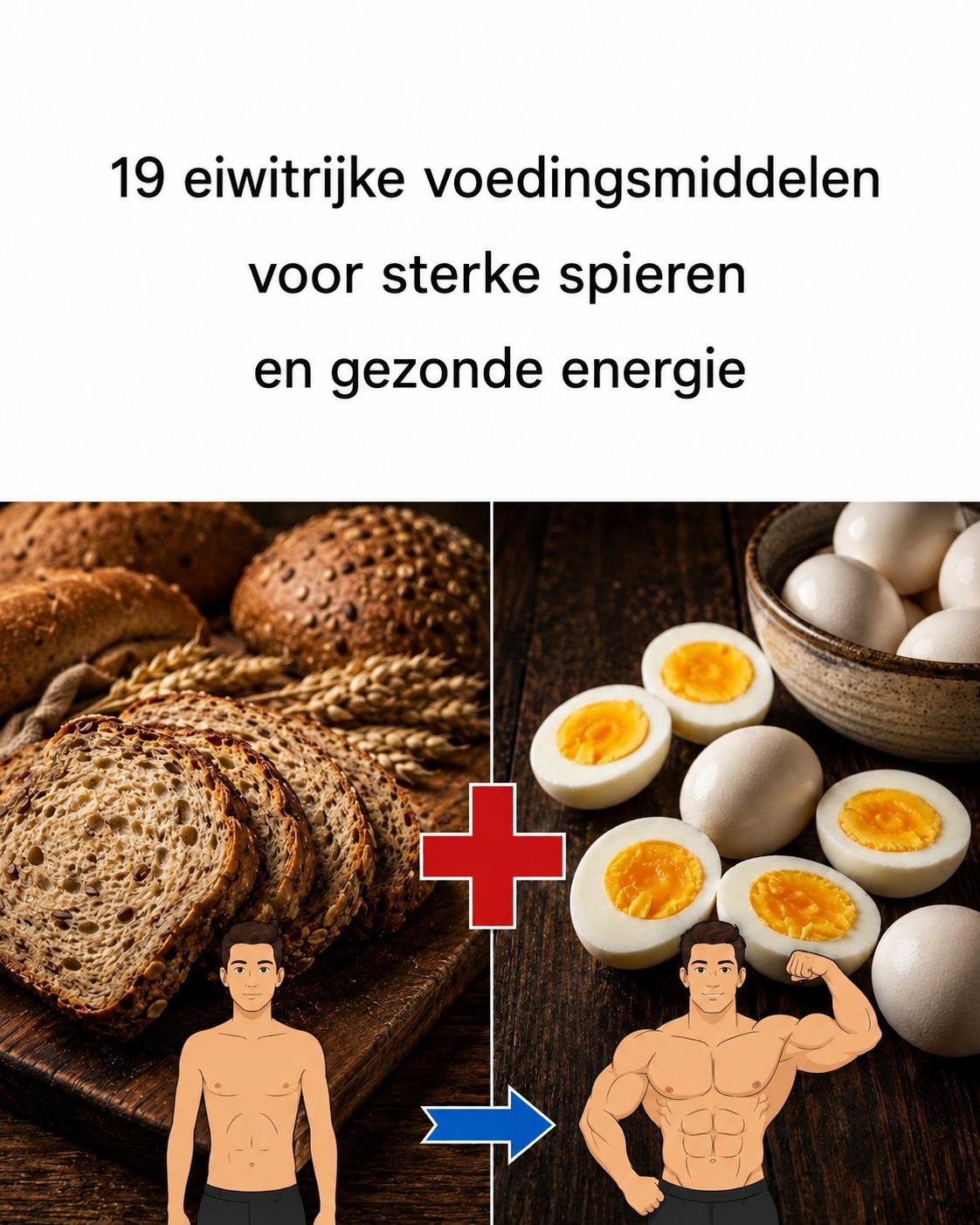 19 eiwitrijke voedingsmiddelen die je spieren kunnen ondersteunen