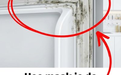 De truc om de rubberen afdichting van je koelkast in 5 minuten schoon te maken.