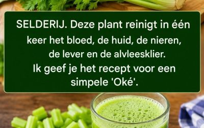 Deze plant reinigt in één keer het bloed, de huid, de nieren, de lever en de alvleesklier. Maar doe het op deze manier…