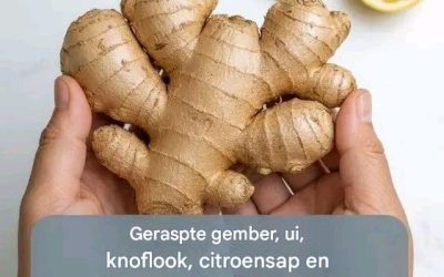 Een mengsel van gember, knoflook, ui en citroen: reinigt je lichaam en longen.