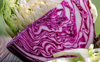 Artsen onthullen dat het eten van kool de oorzaak is van… Lees meer