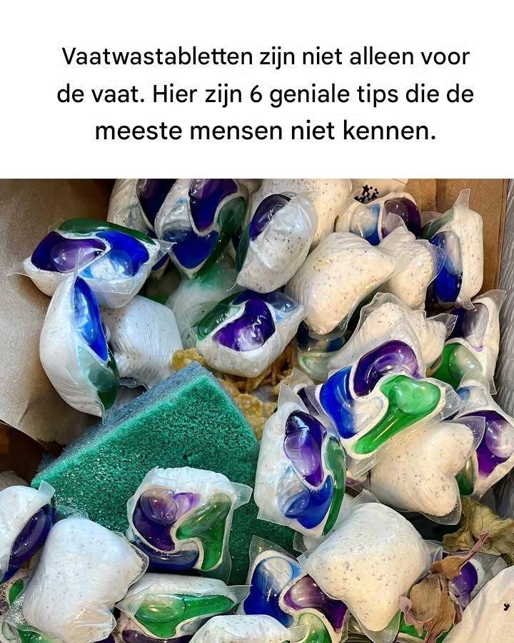 Wow, hier had ik geen idee van!