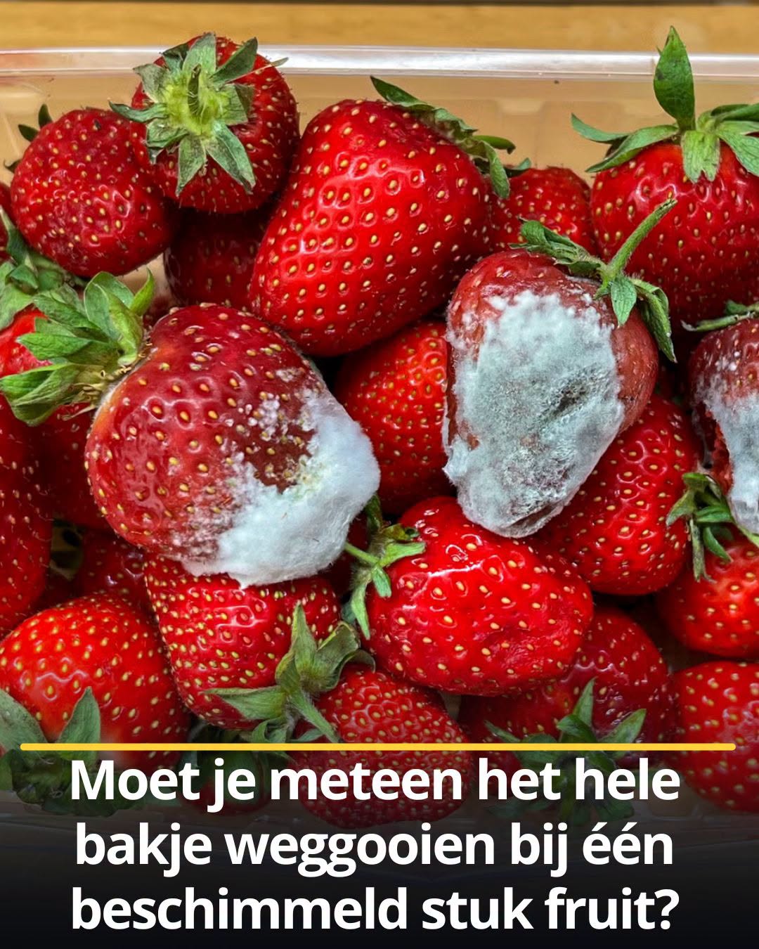 Moet je meteen het hele bakje weggooien bij één beschimmeld stuk fruit?