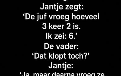 Johnny haalde 8 op 20 voor wiskunde, maar zijn uitleg liet zijn vader lachen