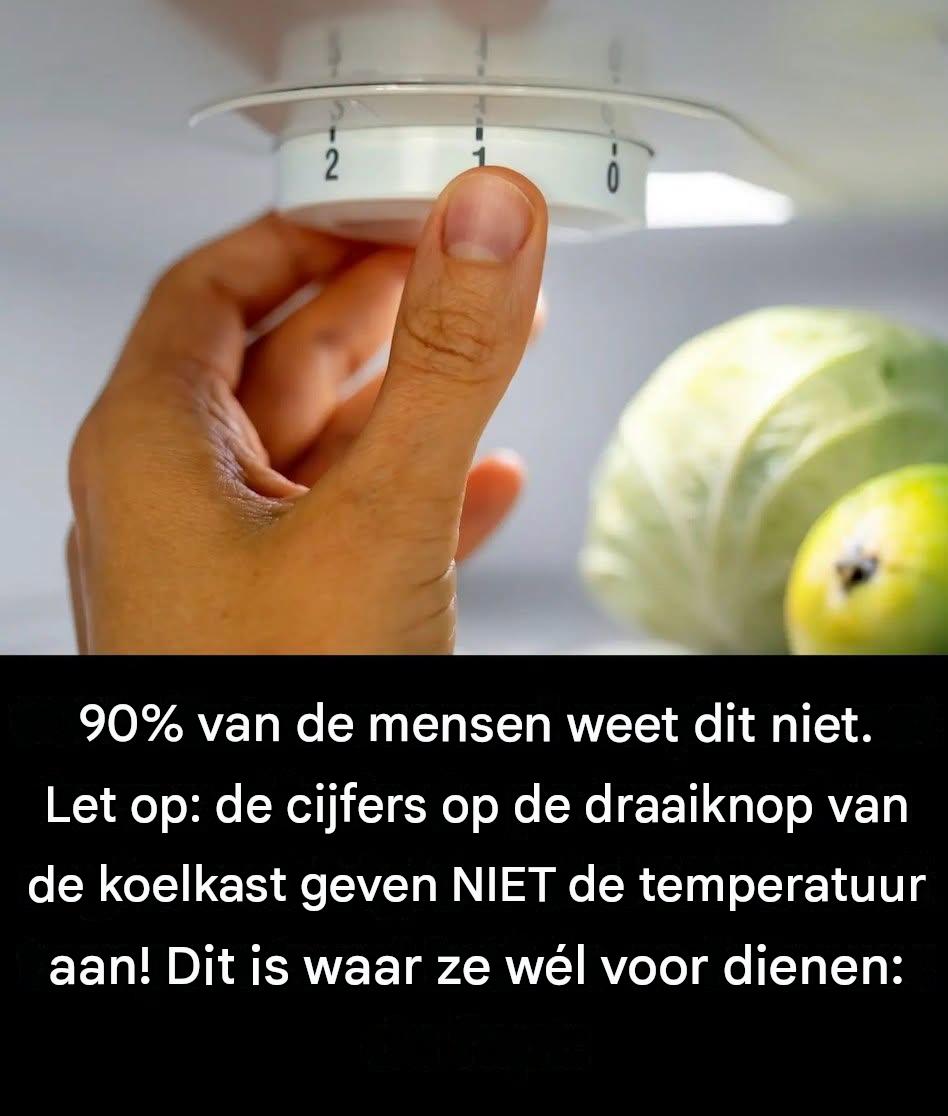 90% van de mensen weet dit niet: de cijfers op de draaiknop van je koelkast geven NIET de temperatuur aan! Dit is waar ze wél voor dienen