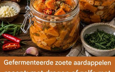 Recept voor gefermenteerde zoete aardappel: met dragon of zelfs met knoflook en chilipeper