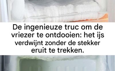 De ingenieuze truc om je vriezer te ontdooien: het ijs verdwijnt zonder dat je de stekker eruit hoeft te trekken.